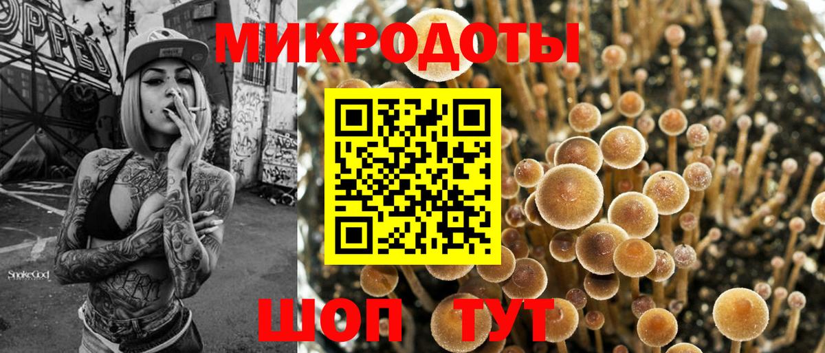Галлюциногенные грибы мицелий  Псилоцибиновые грибы Psilocybine cubensis  Кировск  Вход с VPN 